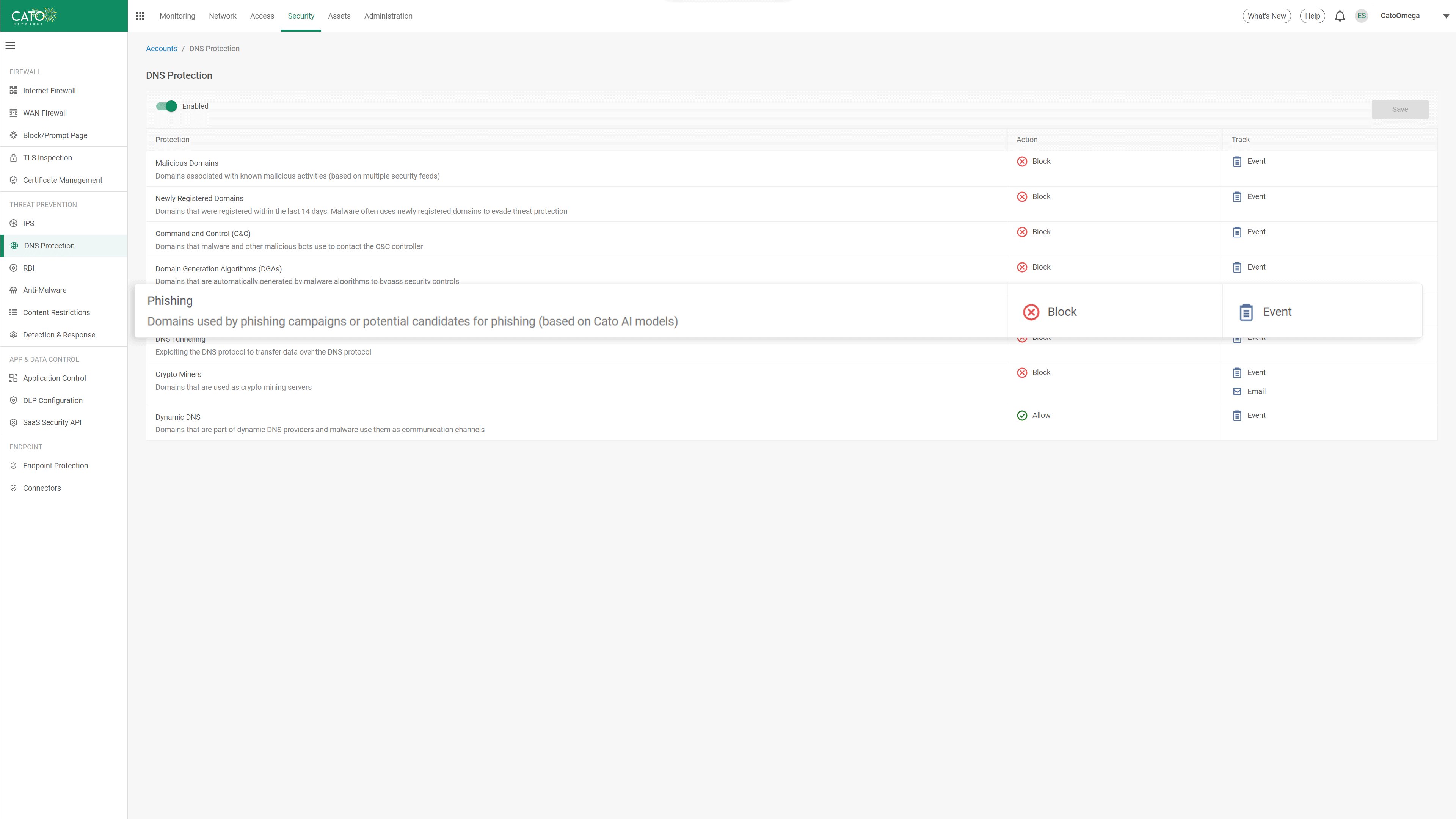 DNS Protection Configuration